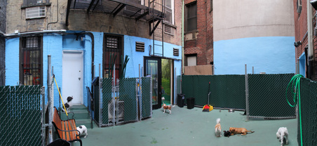 Enlarge photo 13