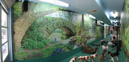 Enlarge photo 15