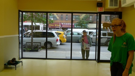 Enlarge photo 47