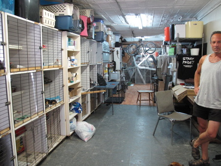 Enlarge photo 5