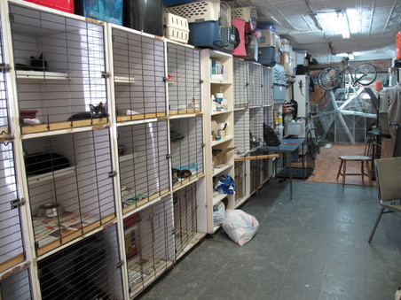 Enlarge photo 7