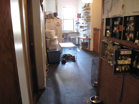 Enlarge photo 23