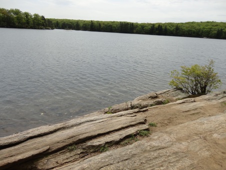 Enlarge photo 6