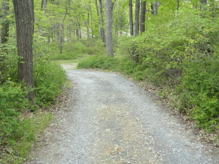 Enlarge photo 13
