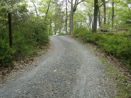 Enlarge photo 14