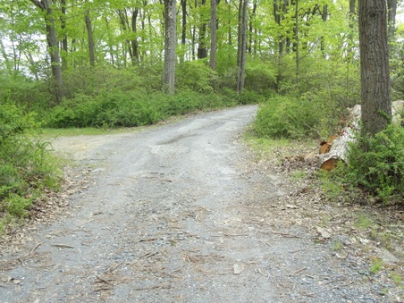 Enlarge photo 15