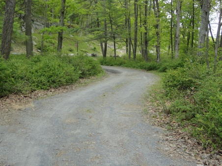 Enlarge photo 16