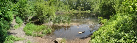 Forest Park- Strack Pond