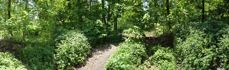 Enlarge photo 2