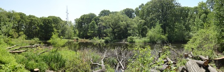 Enlarge photo 3