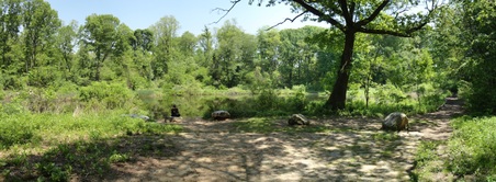 Enlarge photo 4