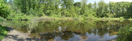 Enlarge photo 5
