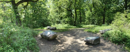 Enlarge photo 6