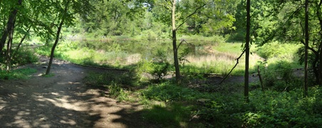 Enlarge photo 7