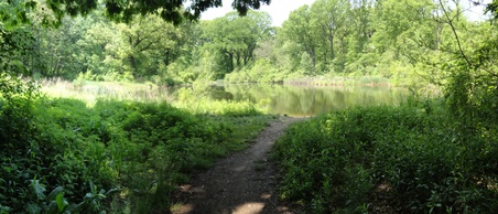 Enlarge photo 8
