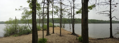 Enlarge photo 5