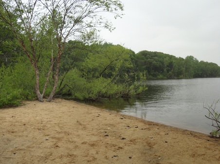 Enlarge photo 7