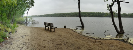 Enlarge photo 11