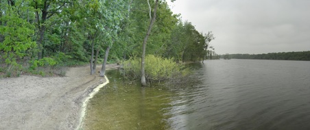 Enlarge photo 13