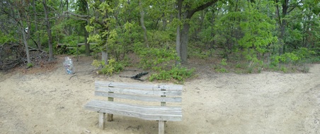 Enlarge photo 15