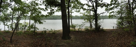 Enlarge photo 17