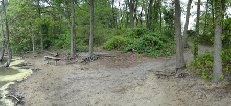 Enlarge photo 19