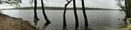 Enlarge photo 21