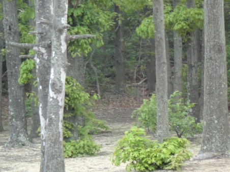 Enlarge photo 24