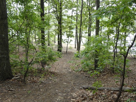 Enlarge photo 26