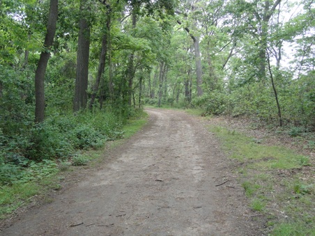 Enlarge photo 28