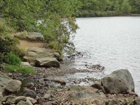 Enlarge photo 5