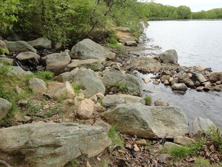 Enlarge photo 6