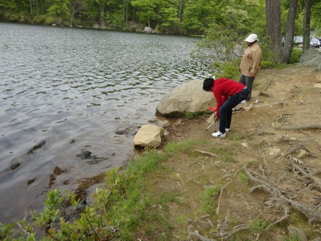 Enlarge photo 7