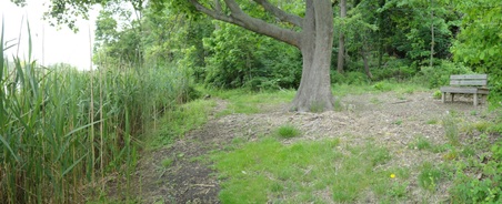Enlarge photo 2