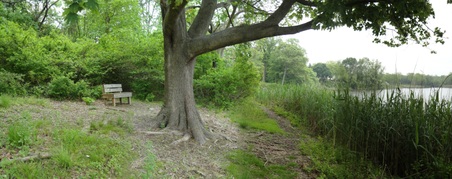 Enlarge photo 3