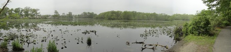 Enlarge photo 11