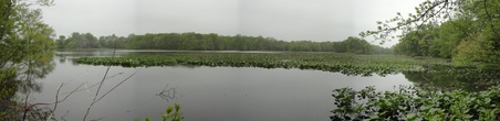 Mill Pond Preserve
