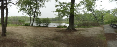 Enlarge photo 2