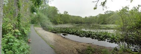 Enlarge photo 4