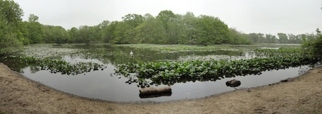 Enlarge photo 5