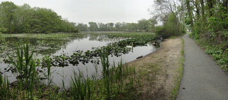 Enlarge photo 6