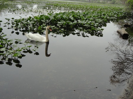 Enlarge photo 8