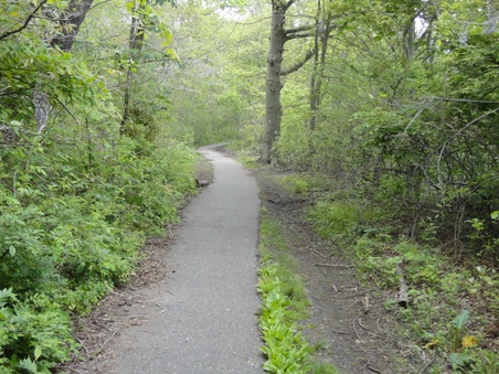 Enlarge photo 9