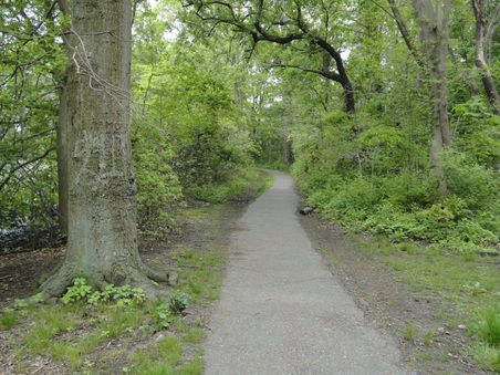 Enlarge photo 10