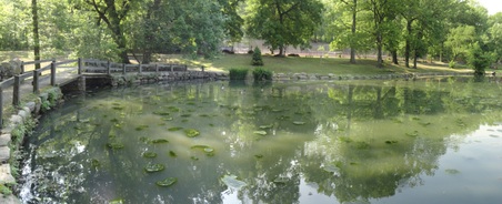 Tibbetts Brook Park