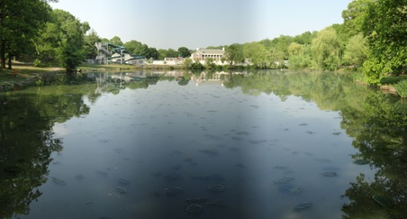 Enlarge photo 2