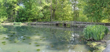 Enlarge photo 5