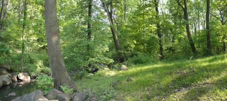 Enlarge photo 14