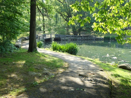 Enlarge photo 15