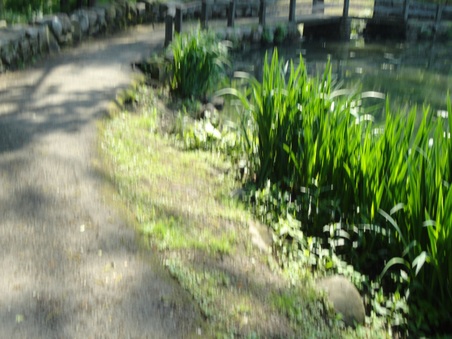Enlarge photo 17